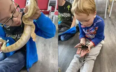 Children get hands-on experience with snakes and lizards